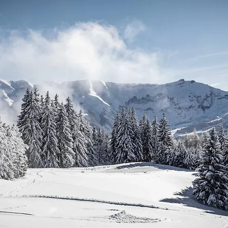 Neuf, 4 Personnes, Terrasse, 15 Min Du Centre De - Fr-1-569-96