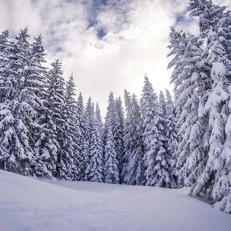 Neuf, 4 Personnes, Terrasse, 15 Min Du Centre De - Fr-1-569-96 * Megève