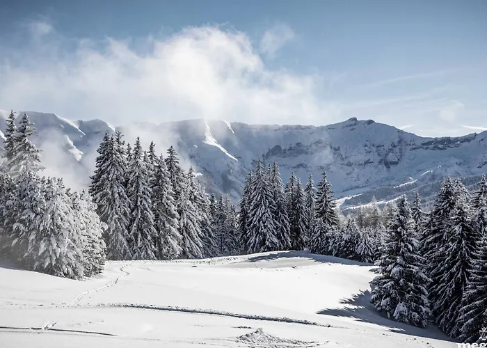 Neuf, 4 Personnes, Terrasse, 15 Min Du Centre De - Fr-1-569-96