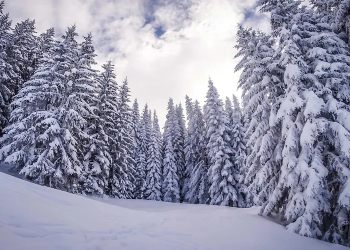 Апартаменты Neuf, 4 Personnes, Terrasse, 15 Min Du Centre De - Fr-1-569-96 *